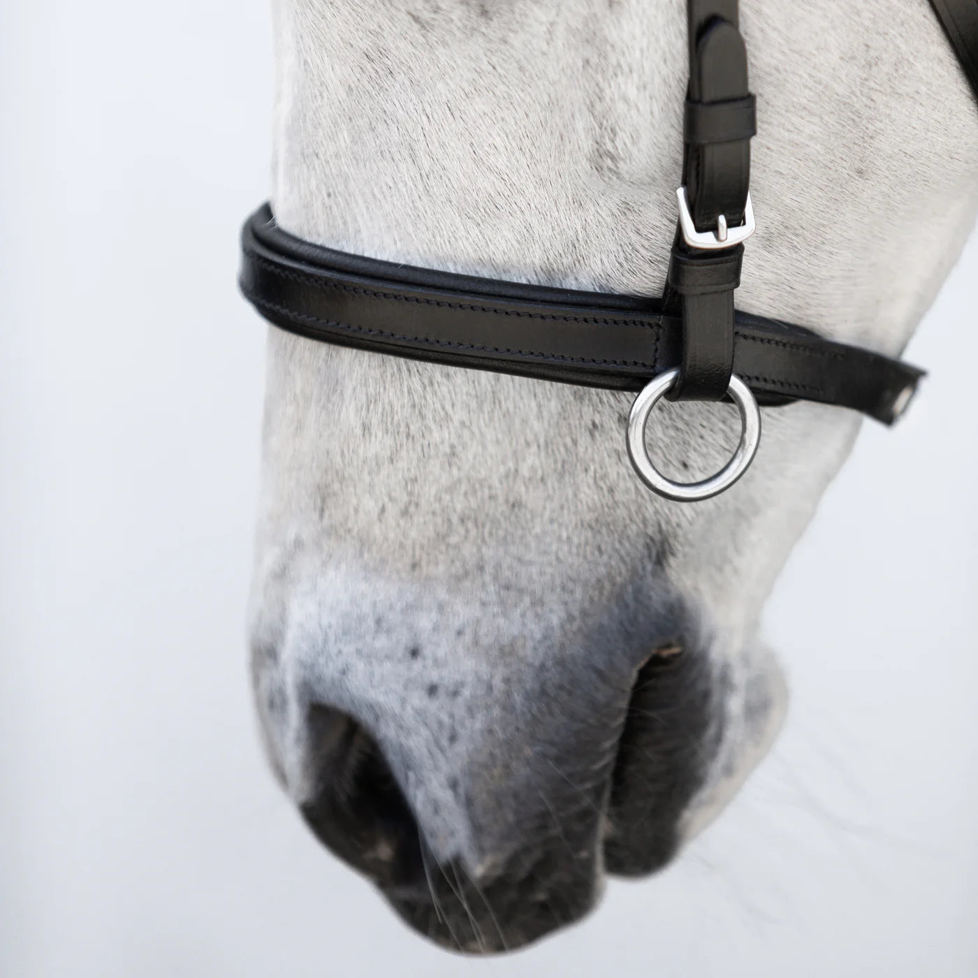 Lumiere Iddy Biddy Bitless bridle (Lumi Pony)