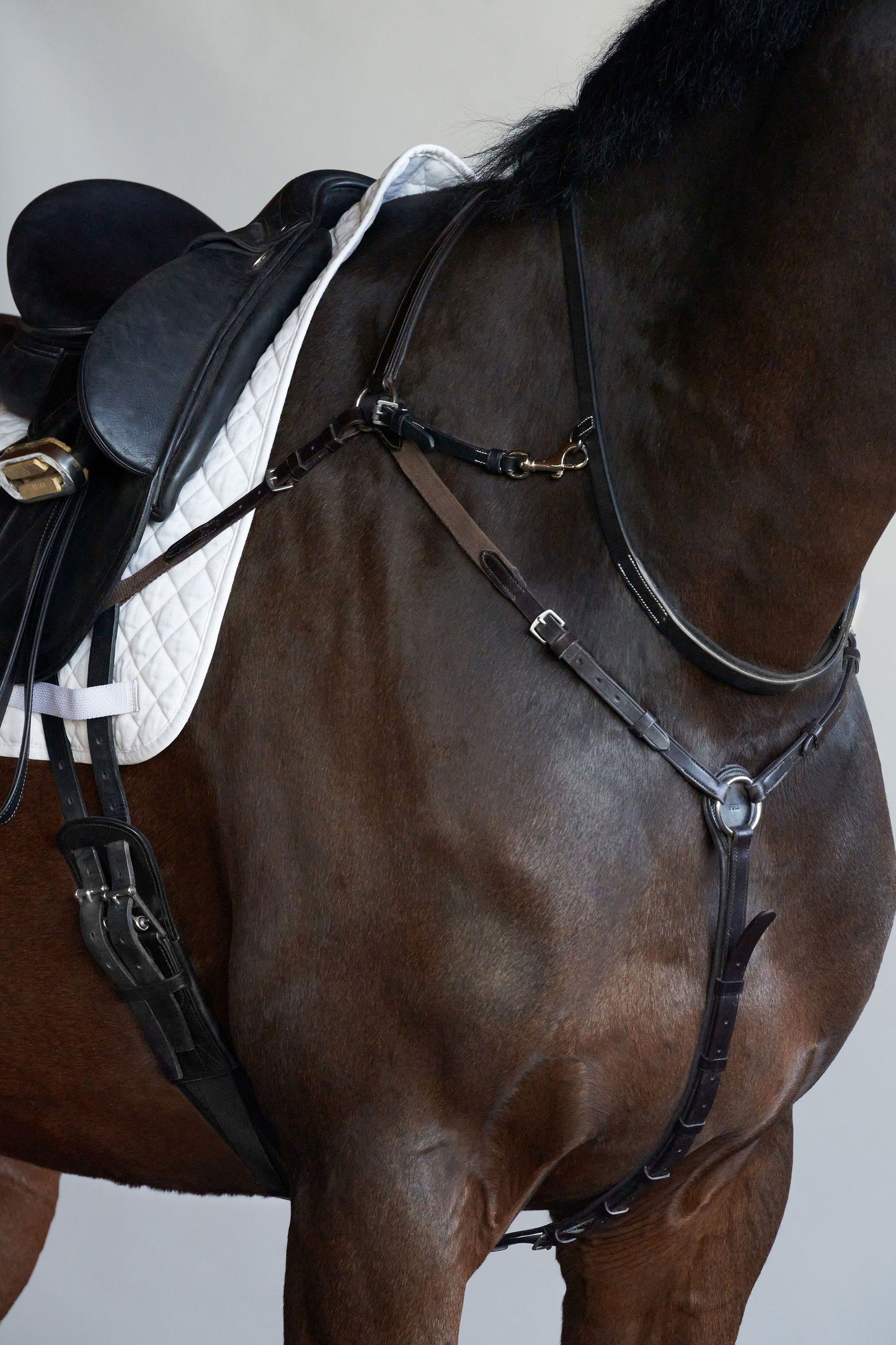 Tapestry Neckstrap