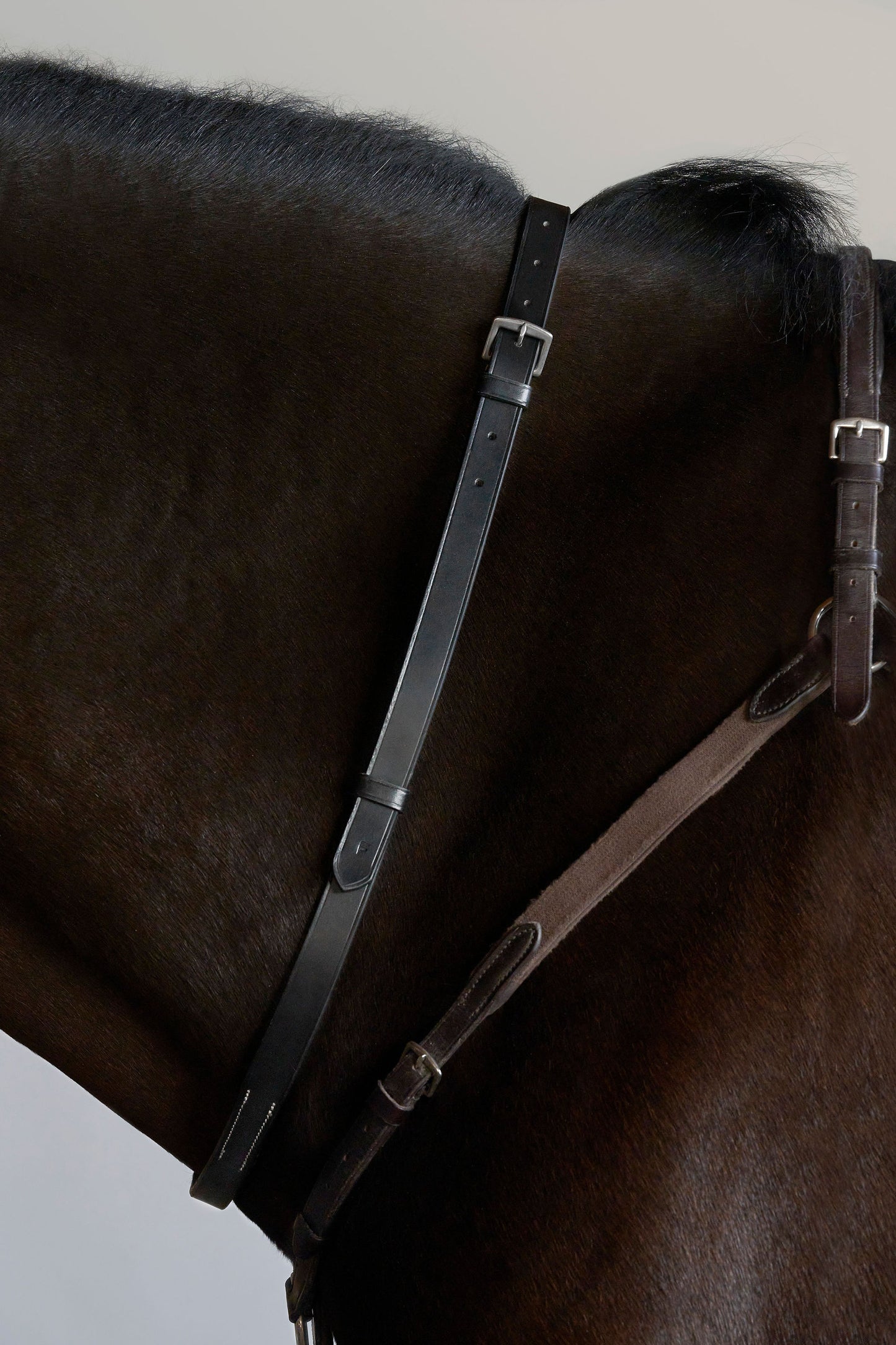 Tapestry Neckstrap