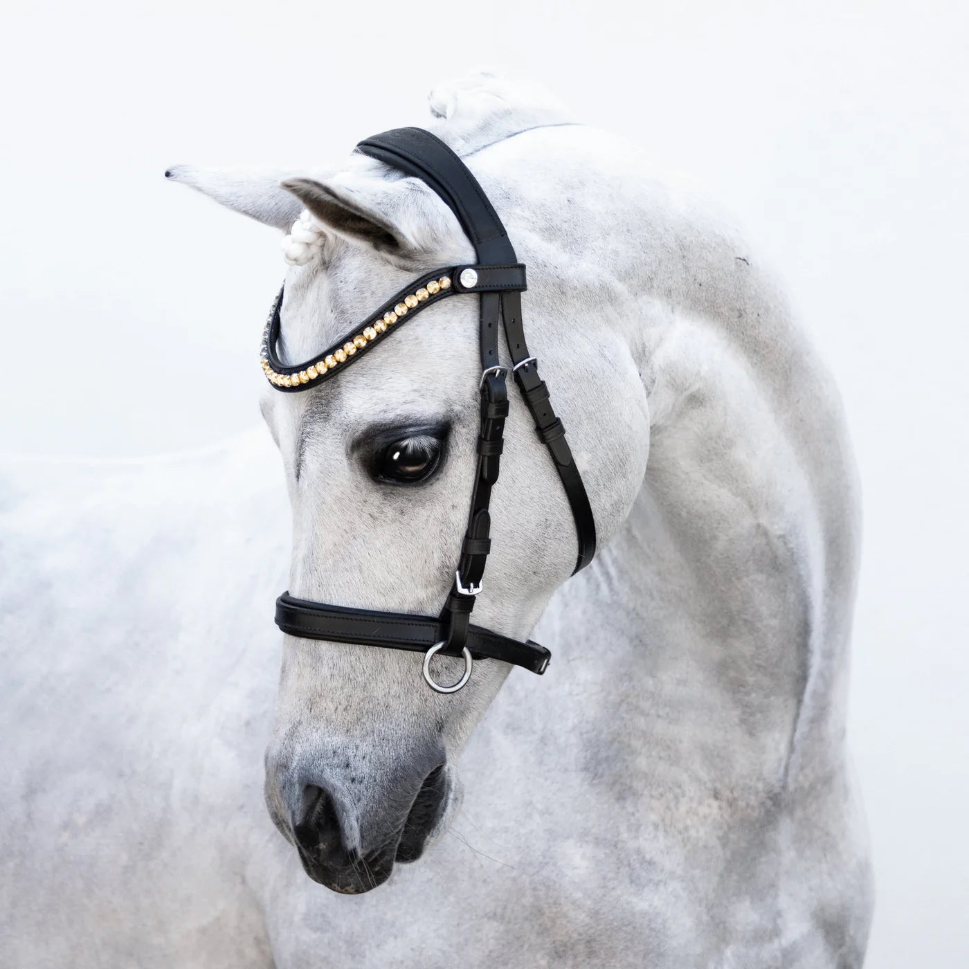 Lumiere Iddy Biddy Bitless bridle (Lumi Pony)