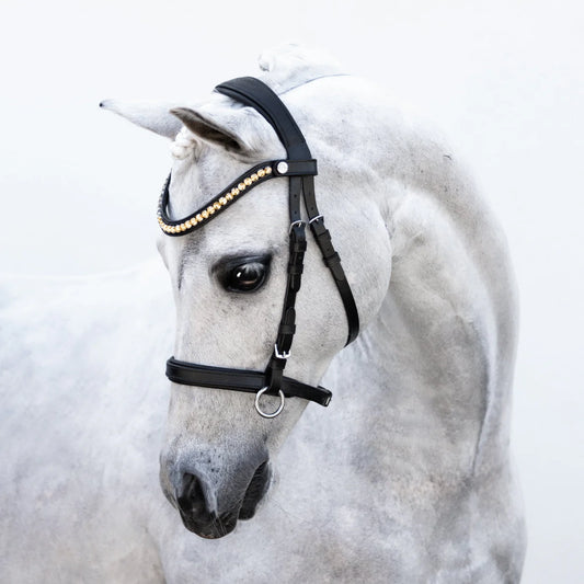 Lumiere Iddy Biddy Bitless bridle (Lumi Pony)