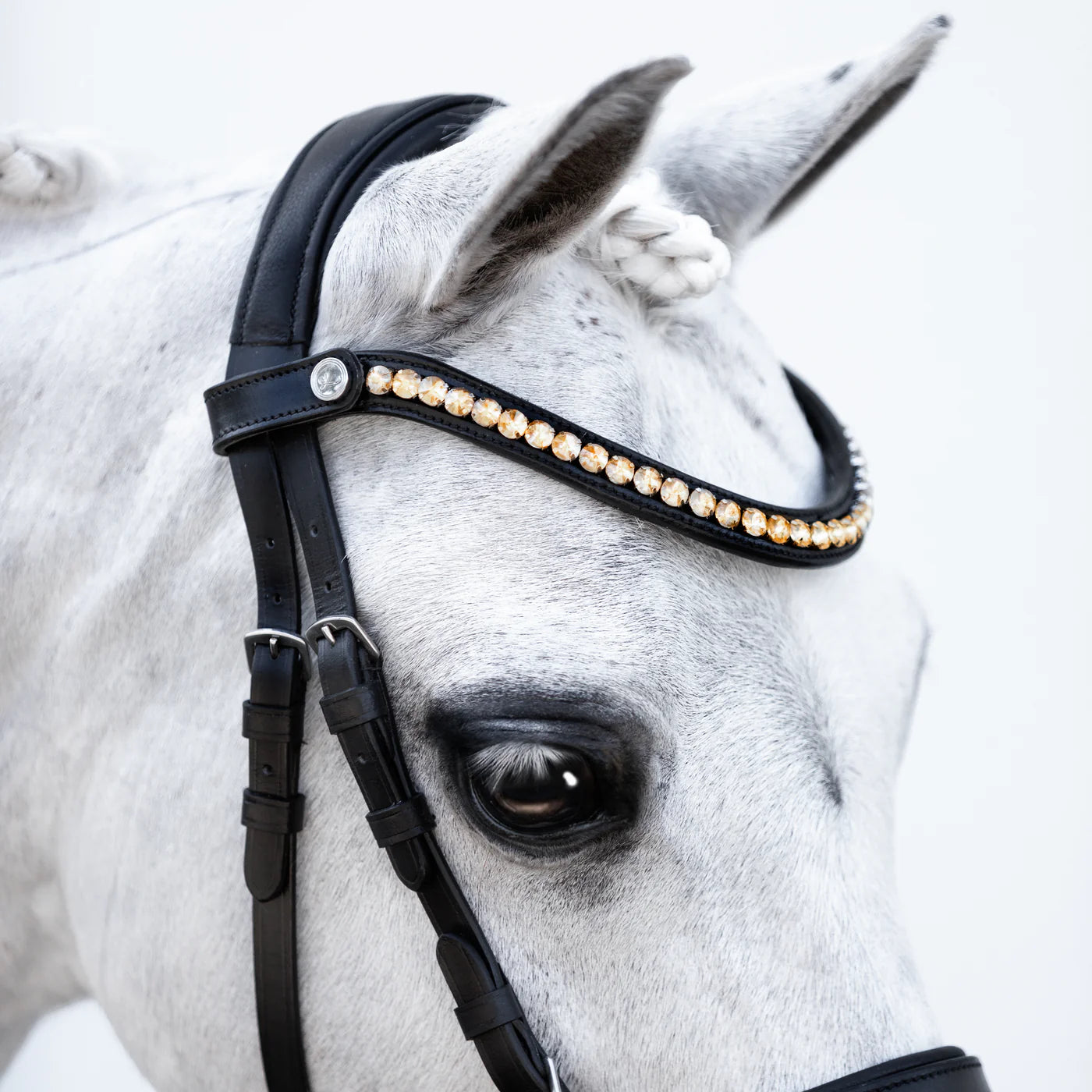 Lumiere Iddy Biddy Bitless bridle (Lumi Pony)