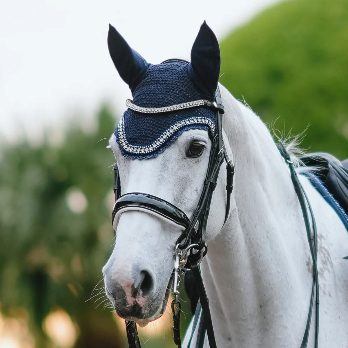 Lumiere Adeline Luxury Leather Double Bridle