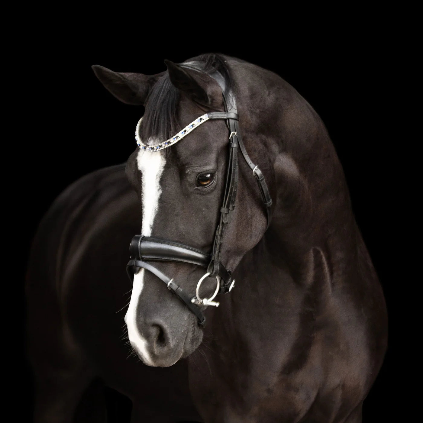 Lumiere Anastasia Convertible Leather Bridle