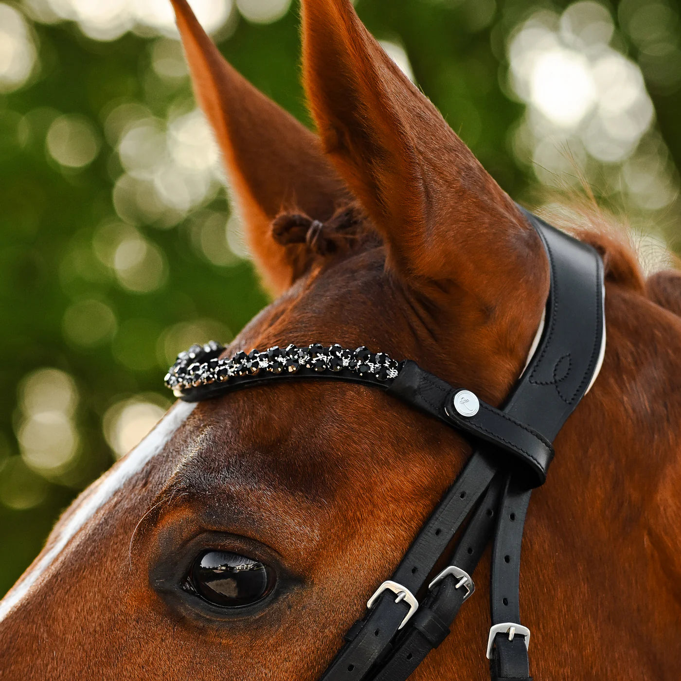 Lumiere Sibella Bridle