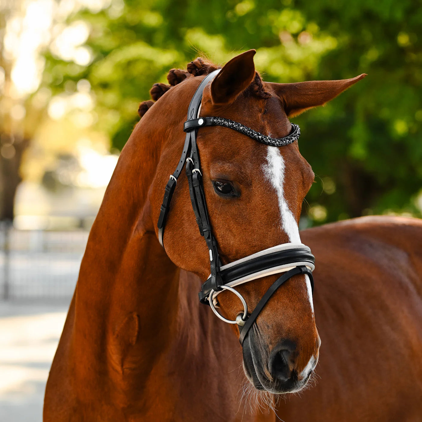 Lumiere Sibella Bridle