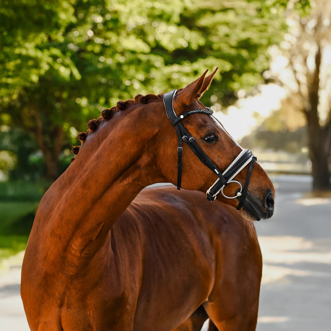 Lumiere Sibella Bridle