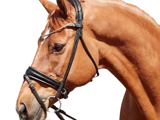 Finesse Cassidy Snaffle Bridle
