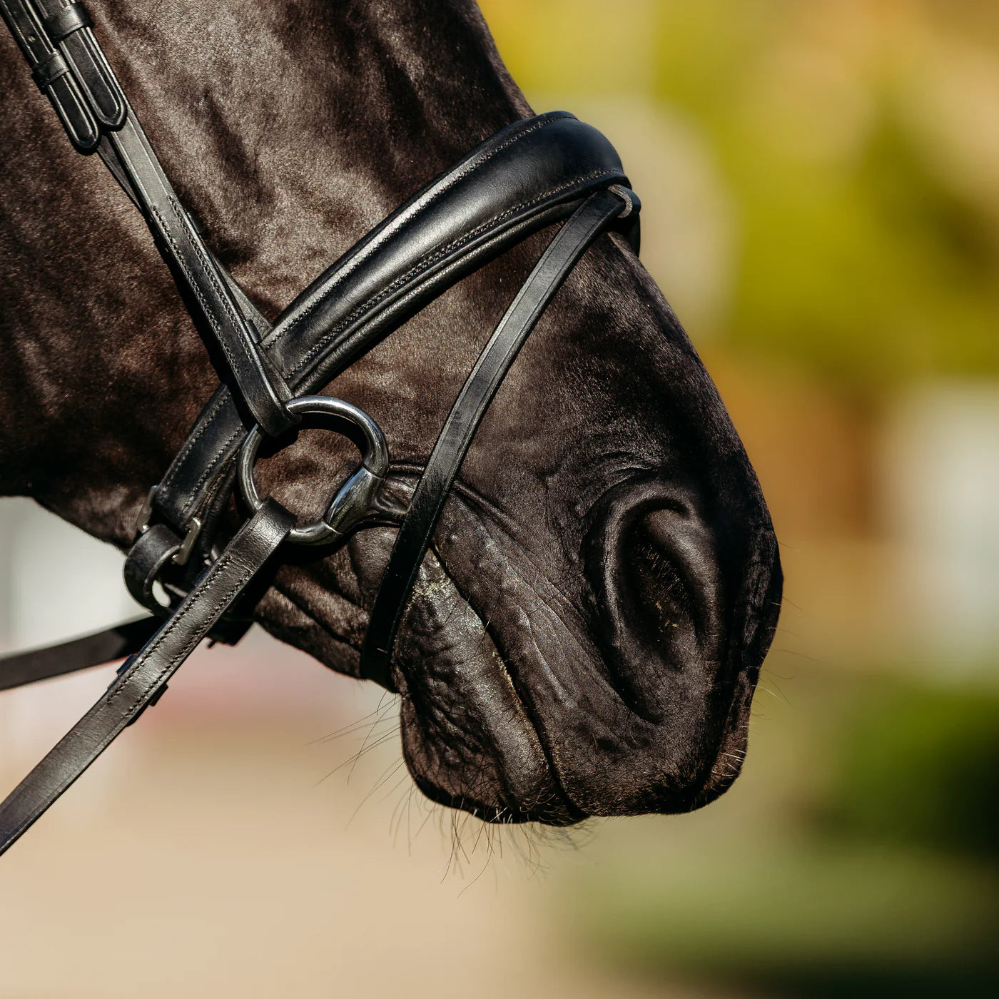 Lumiere Abigail Convertible Leather Bridle
