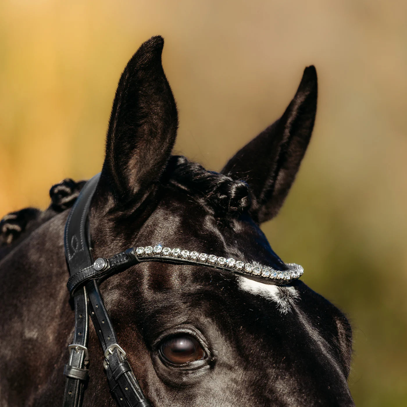 Lumiere Abigail Convertible Leather Bridle