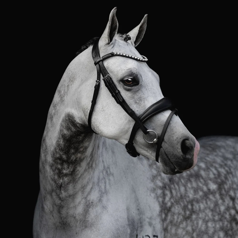 Lumiere Abigail Convertible Leather Bridle