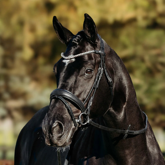 Lumiere Abigail Convertible Leather Bridle