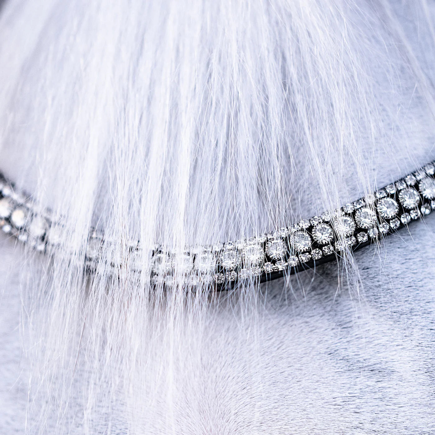 Lumiere Adeline Luxury Leather Double Bridle