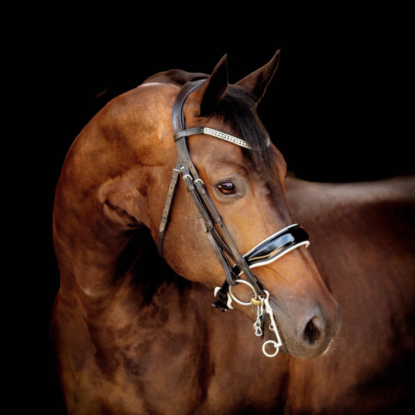 Lumiere Adeline Luxury Leather Double Bridle