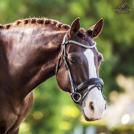 Lumiere Anastasia Convertible Leather Bridle