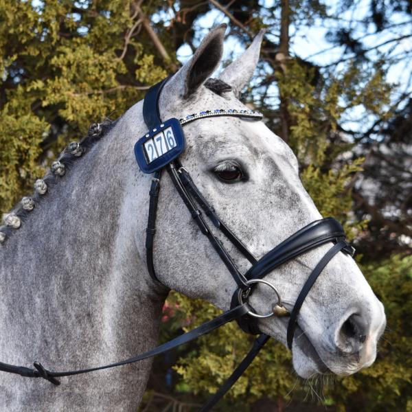 Lumiere Anastasia Convertible Leather Bridle