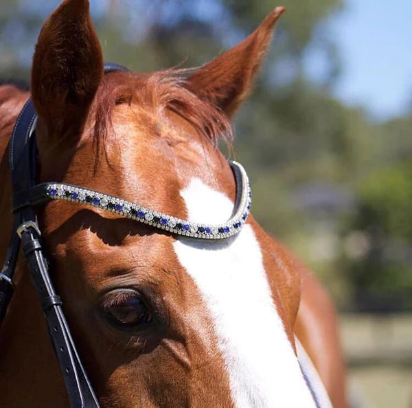 Lumiere Anastasia Convertible Leather Bridle