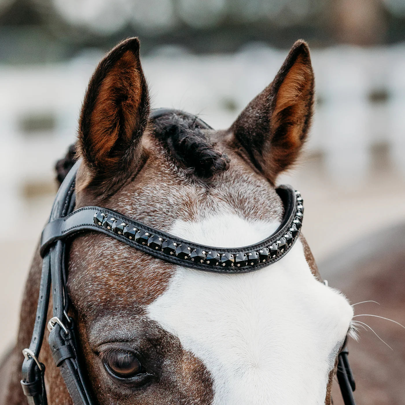Lumiere Arcadia Luxury Leather Bridle