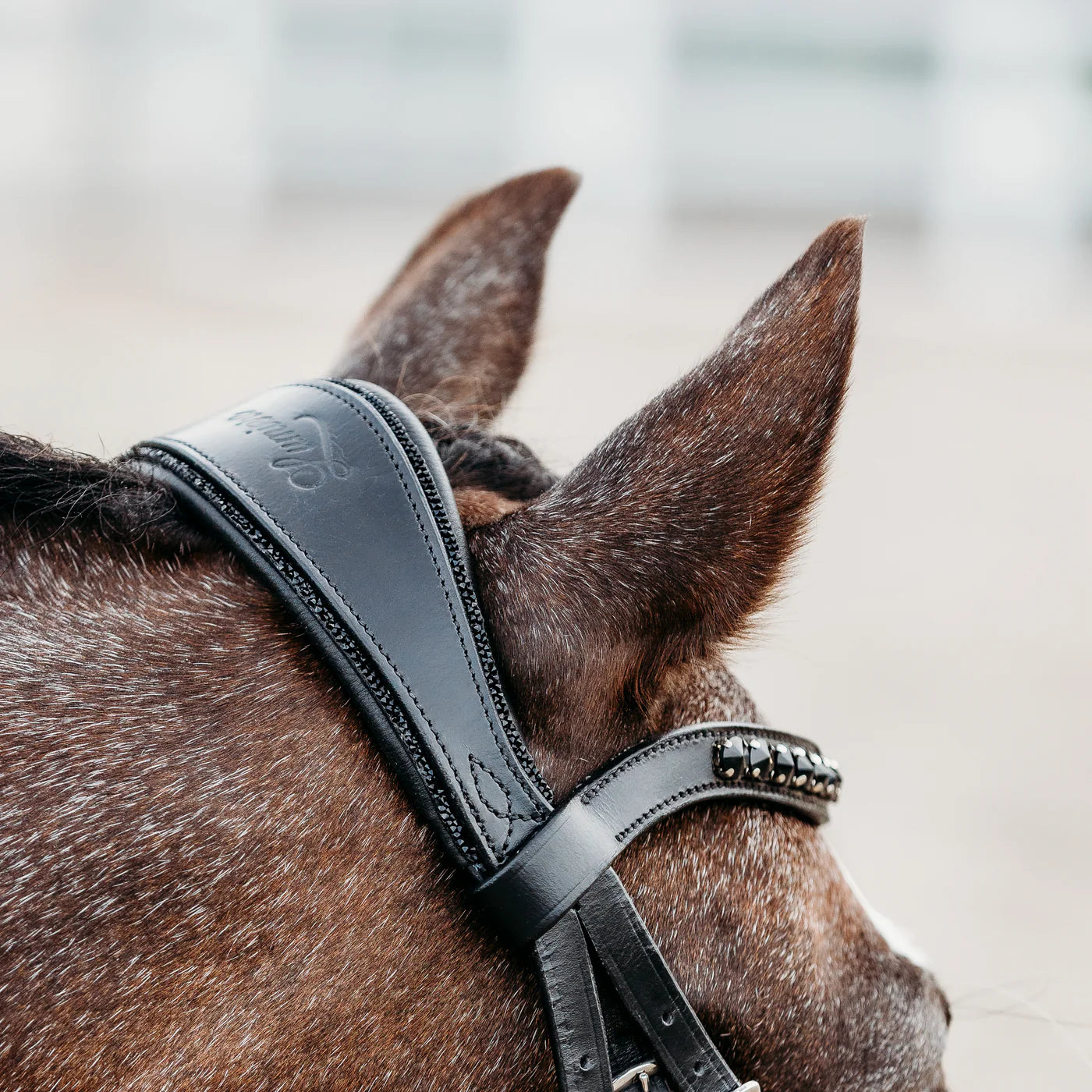 Lumiere Arcadia Luxury Leather Bridle