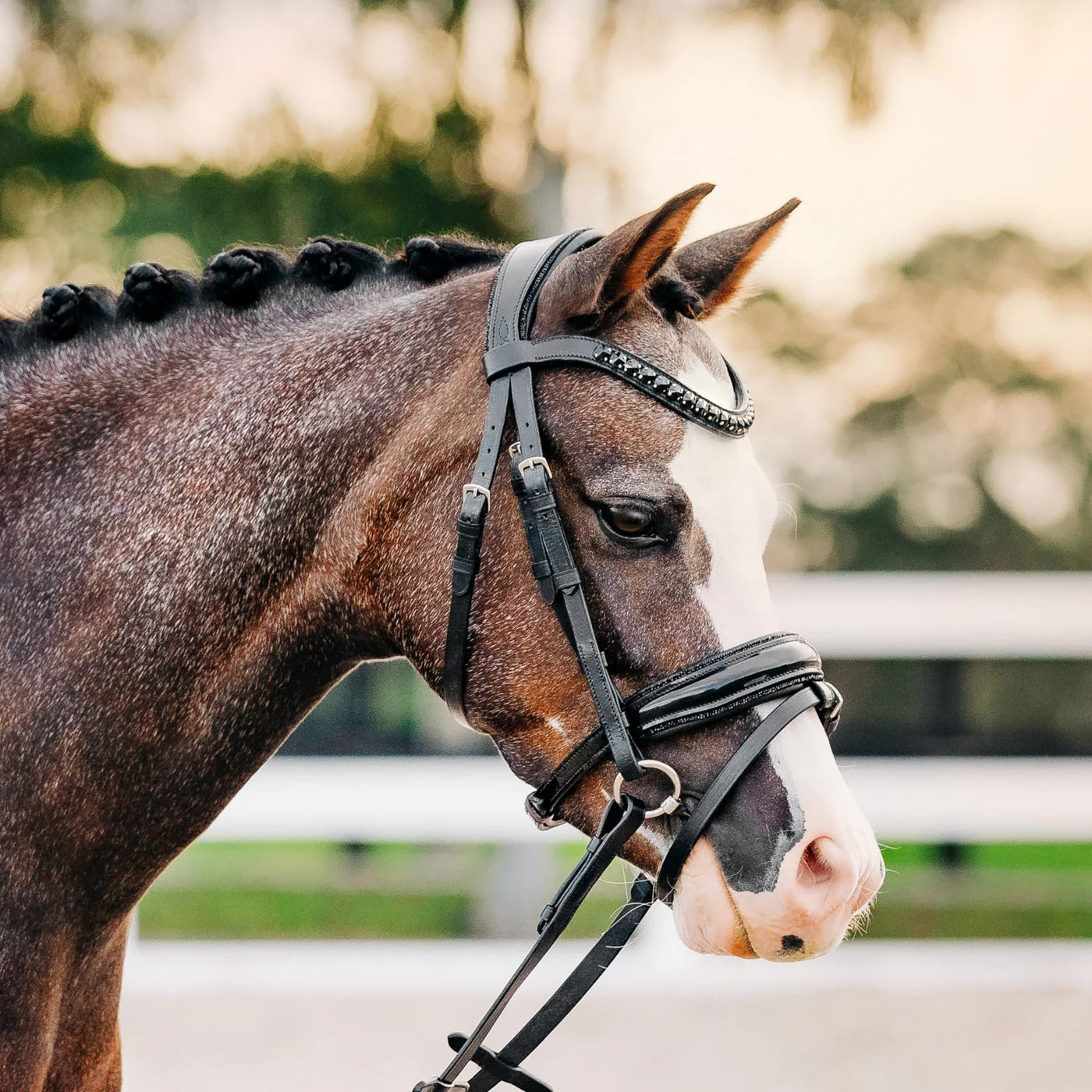 Lumiere Arcadia Luxury Leather Bridle