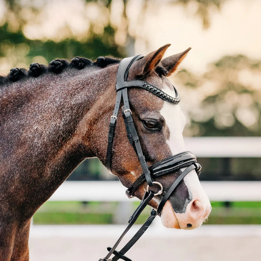 Lumiere Arcadia Luxury Leather Bridle