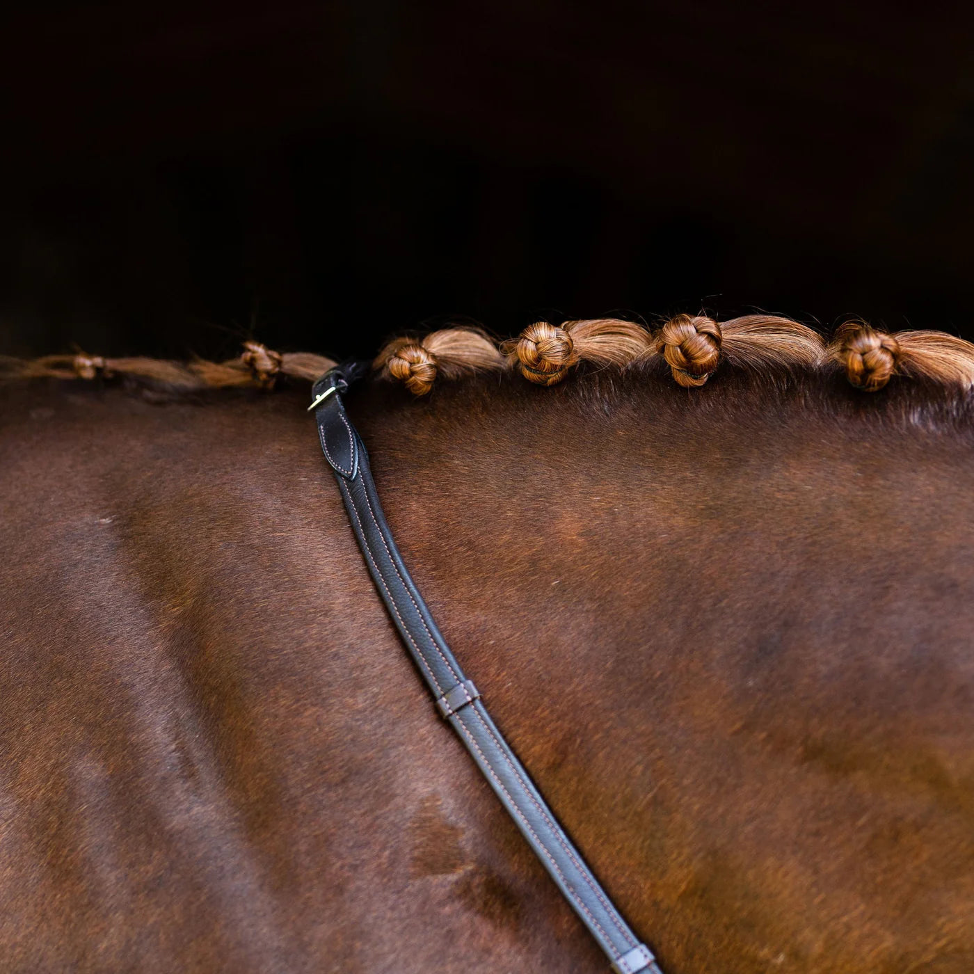 Lumiere Padded nappa leather reins (flat) - black & brown (silver fittings) (Lumi Pony)