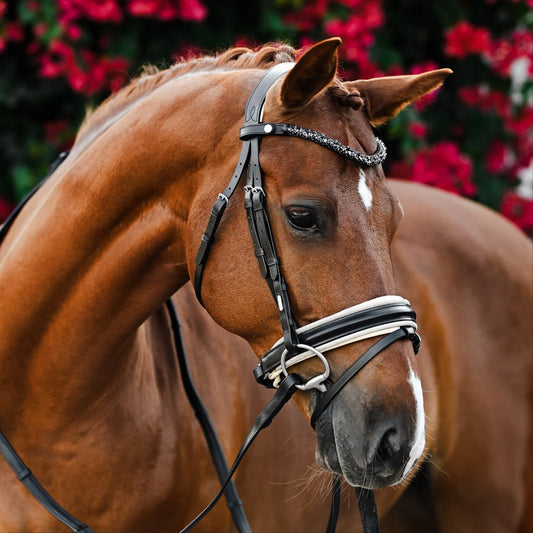 Lumiere Sibella Bridle